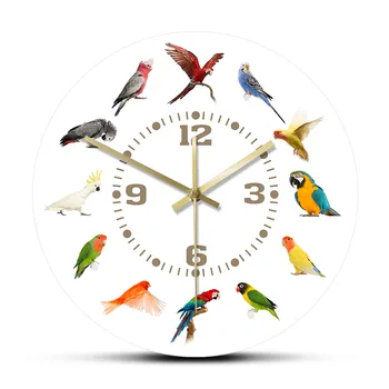Aves De Raças Coleção De Relógio De Parede Moderno Não Passando De Parede Relógio De Papagaio Pássaro De Estimação De Espécies Exóticas Arte De Parede Os Amantes De Aves Decoração De Casa