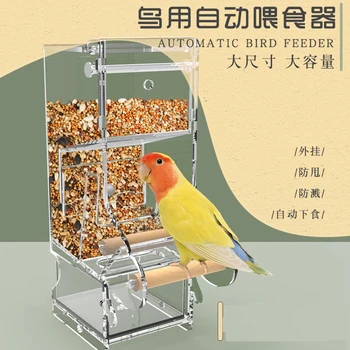1 Pcs Pássaro Alimentadores Automáticos Alimento De Pássaro Ontainer Alimento De Pássaro Alimentadores Para Pombos Papagaio Starling Aves De Estimação Dispositivos De Alimentação