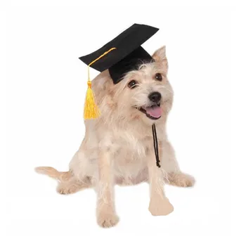 Animal de estimação Graduação Caps com Borla de Estimação Chapéu da Graduação Para Cães e Gatos de Formatura, Festa a Fantasia Favor