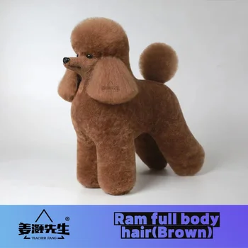 Jiang Ram modelo animal de Estimação do Professor de Beleza Modelagem Prática de Cachorro Modelo Padrão do Esqueleto do Modelo de Cão de Todo o Corpo, Cabelo Falso