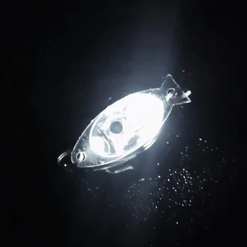 Mini Peixe Atração Lâmpada de Atrair Portátil LED Luminoso pesca Submarina Atrair a Luz Impermeável Leve Noite de Equipamento de Pesca